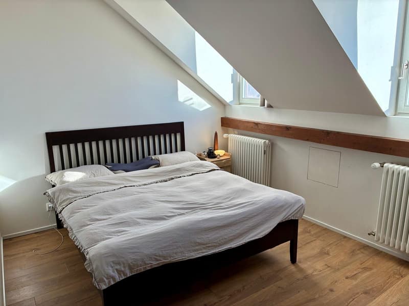 APPARTEMENT 2½ PIÈCES À FRIBOURG, MEUBLÉ, DURÉE DÉTERMINÉE (5)