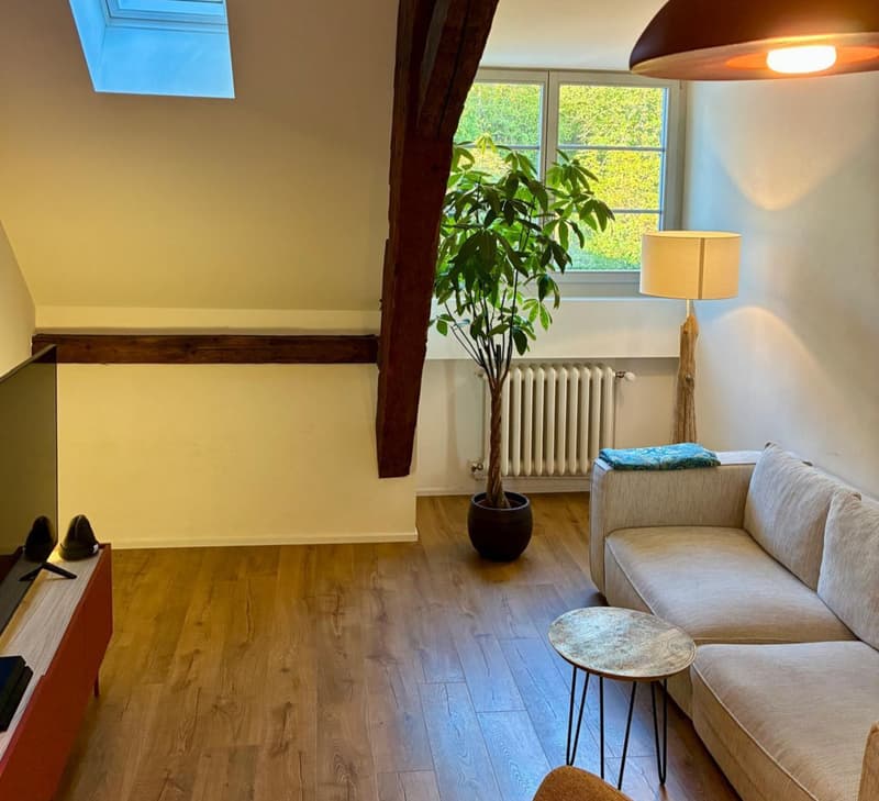 APPARTEMENT 2½ PIÈCES À FRIBOURG, MEUBLÉ, DURÉE DÉTERMINÉE (1)