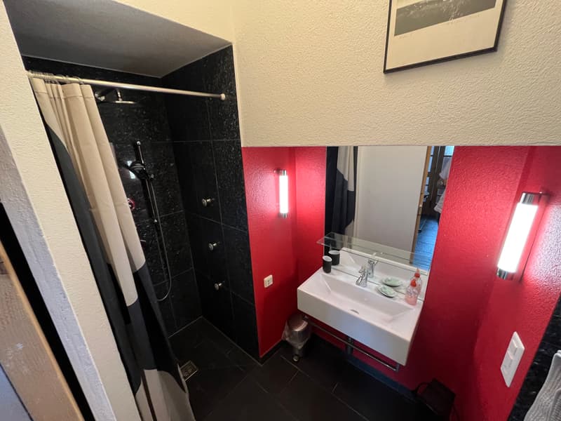APPARTEMENT 1½ PIÈCE À EVILARD (BE), MEUBLÉ, DURÉE DÉTERMINÉE (3)