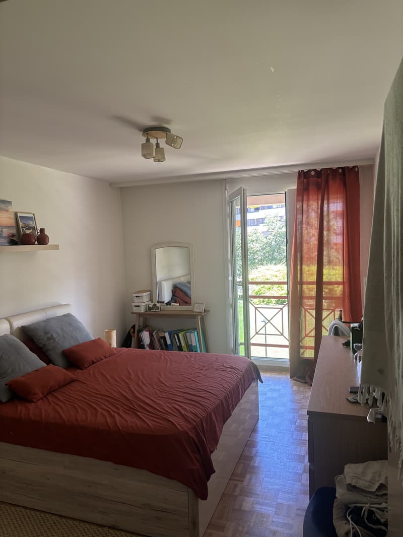 APPARTEMENT 4 PIÈCES À GENÈVE - PLAINPALAIS/ACACIAS, MEUBLÉ, DURÉE DÉT (5)