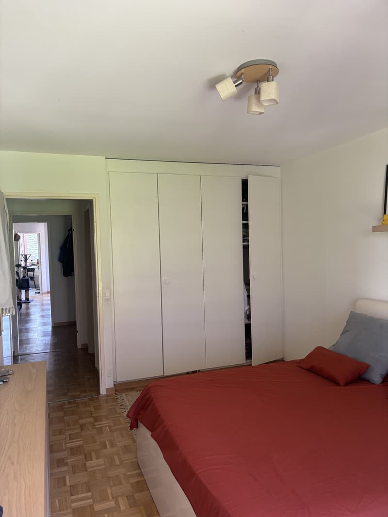 APPARTEMENT 4 PIÈCES À GENÈVE - PLAINPALAIS/ACACIAS, MEUBLÉ, DURÉE DÉT (6)