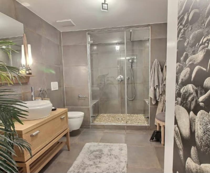 APPARTEMENT 2 PIÈCES À LAUSANNE - CENTRE-VILLE, MEUBLÉ, DURÉE DÉTERMIN (3)