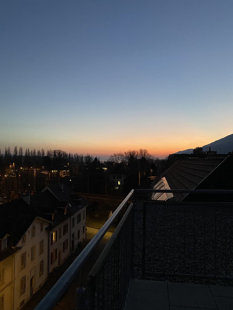 APPARTEMENT 3½ PIÈCES À BIEL/BIENNE (BE), MEUBLÉ, DURÉE DÉTERMINÉE (6)