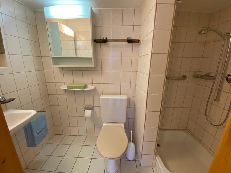 5.5-Zimmer Altbauwohnung an ruhiger Lage (14)