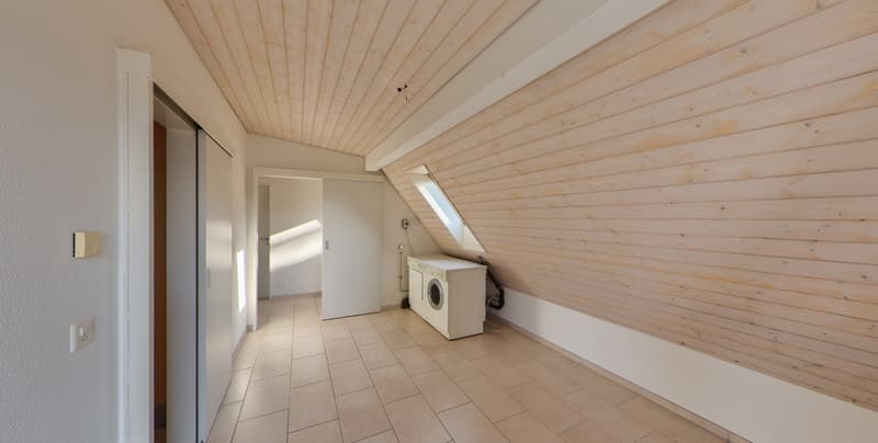 Aussergewöhnliche 5.5-Zimmerwohnung mit Weitblick in Aesch (5)