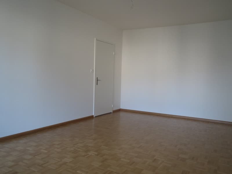 Schöne, helle 3.5-Zimmer-Wohnung (6)