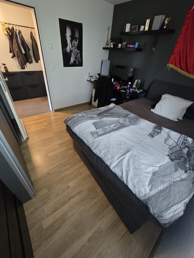 Helle 4.5-Zimmer-Wohnung mit grossem Balkon (8)