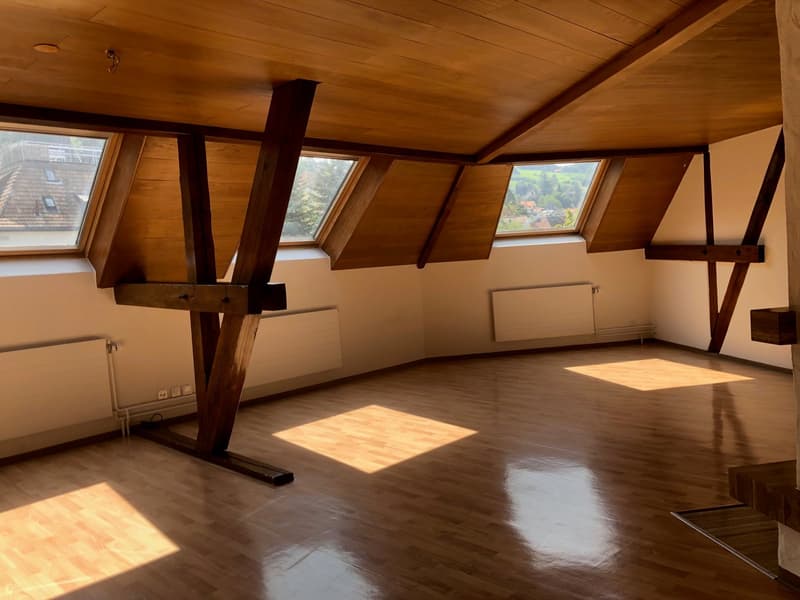 Charmante 3,5-Zimmer-Dachwohnung an zentraler Lage (2)