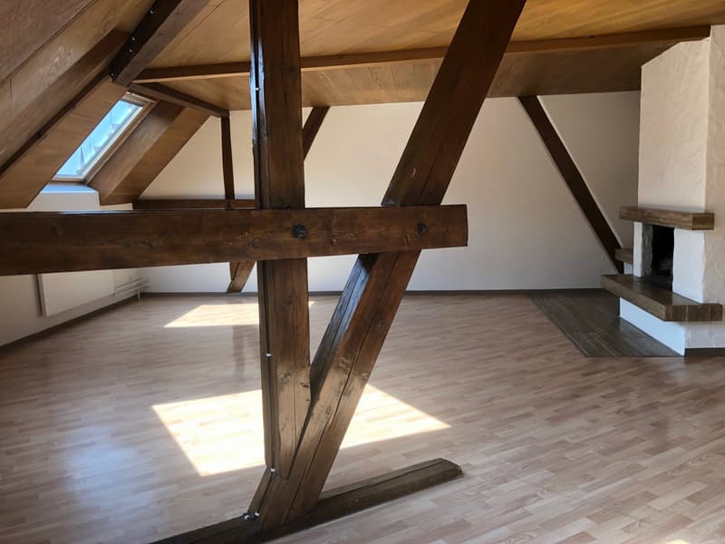 Charmante 3,5-Zimmer-Dachwohnung an zentraler Lage (3)