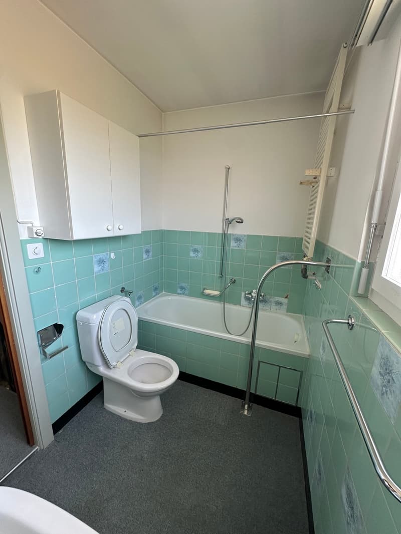 Doppeleinfamilienhaus in Hofstetten-Flüh – Renovationsobjekt an guter Lage (4)