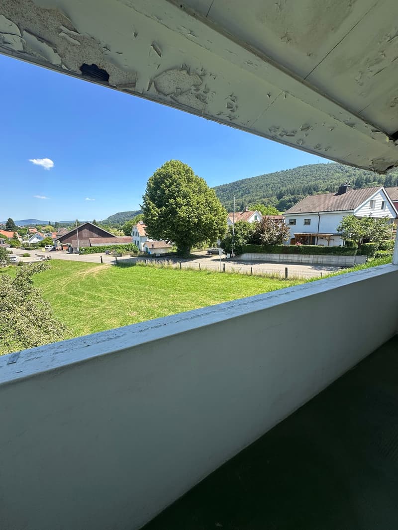 Doppeleinfamilienhaus in Hofstetten-Flüh – Renovationsobjekt an guter Lage (2)