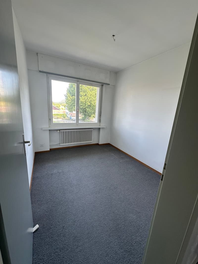 Doppeleinfamilienhaus in Hofstetten-Flüh – Renovationsobjekt an guter Lage (29)