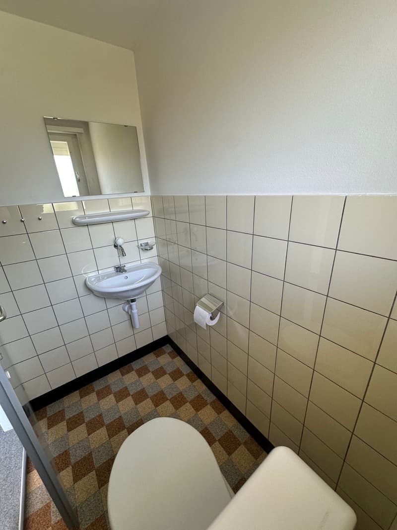 Doppeleinfamilienhaus in Hofstetten-Flüh – Renovationsobjekt an guter Lage (30)