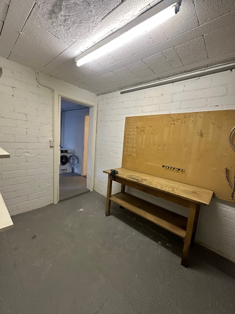 Doppeleinfamilienhaus in Hofstetten-Flüh – Renovationsobjekt an guter Lage (32)
