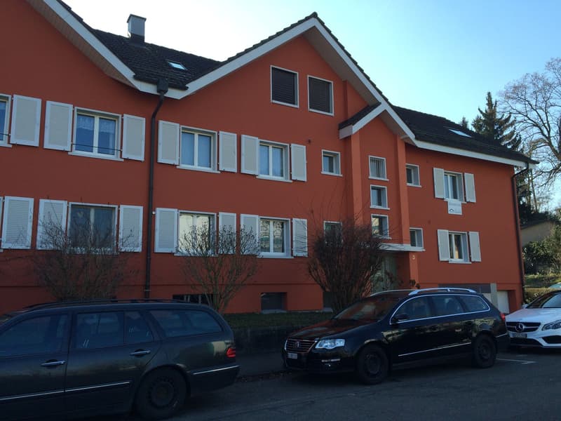 Charmante 3.5-Zimmer-Dachwohnung (1)