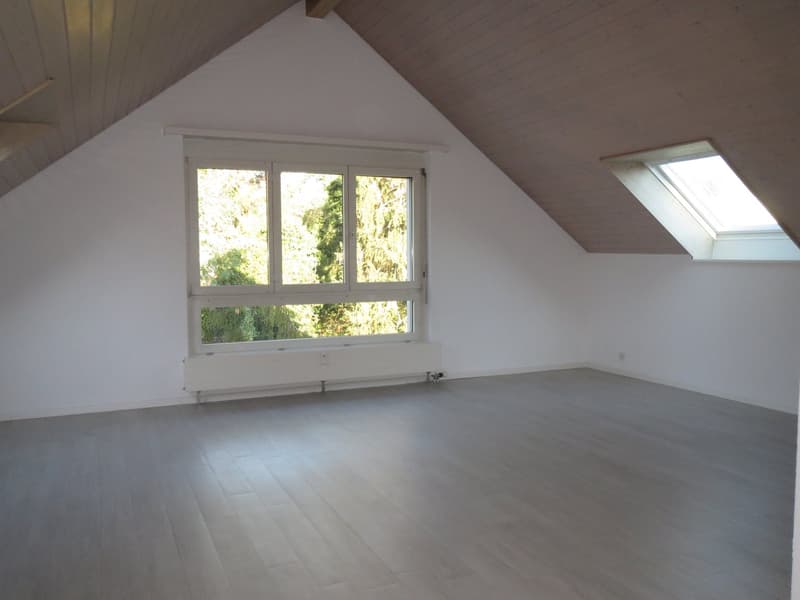 Charmante 3.5-Zimmer-Dachwohnung (6)