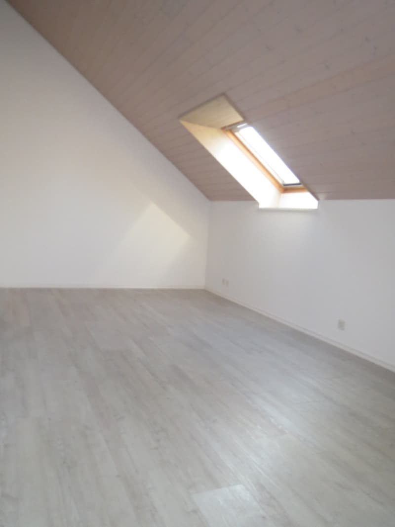 Charmante 3.5-Zimmer-Dachwohnung (11)