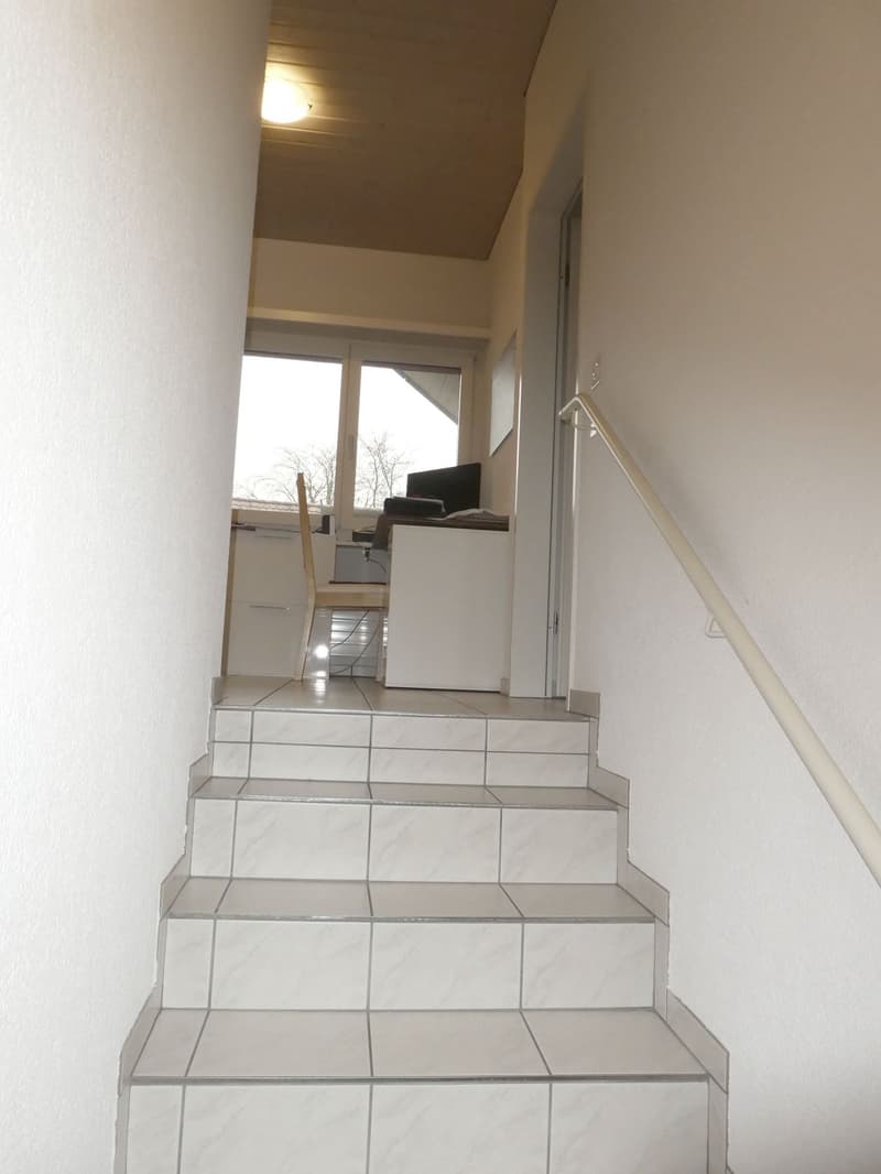 Charmante 3.5-Zimmer-Dachwohnung (2)
