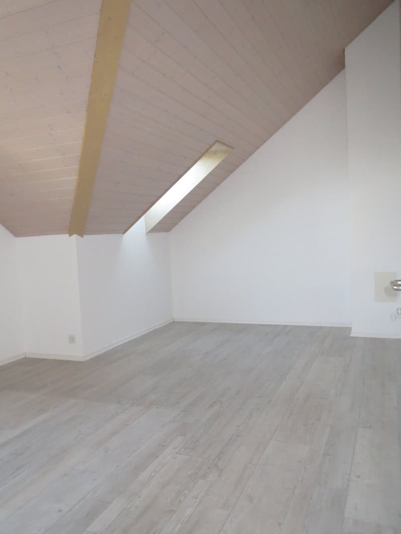 Charmante 3.5-Zimmer-Dachwohnung (12)