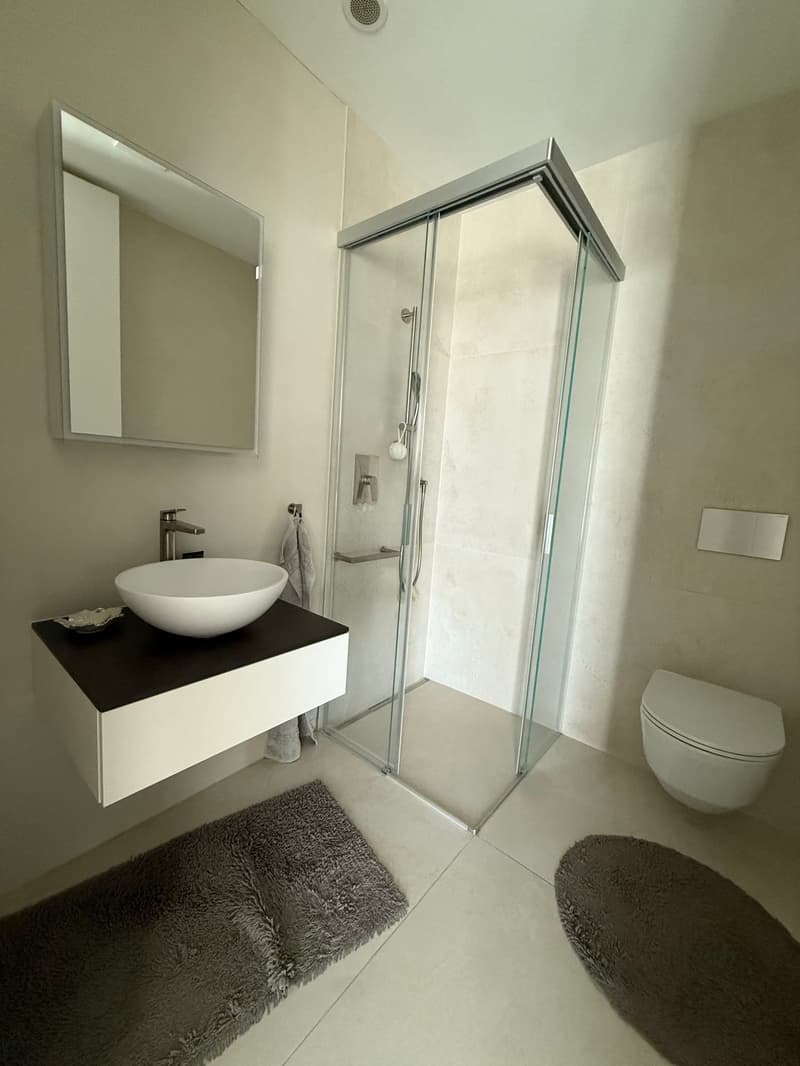 Moderne 4.5-Zimmer-Wohnung in Reinach BL (24)