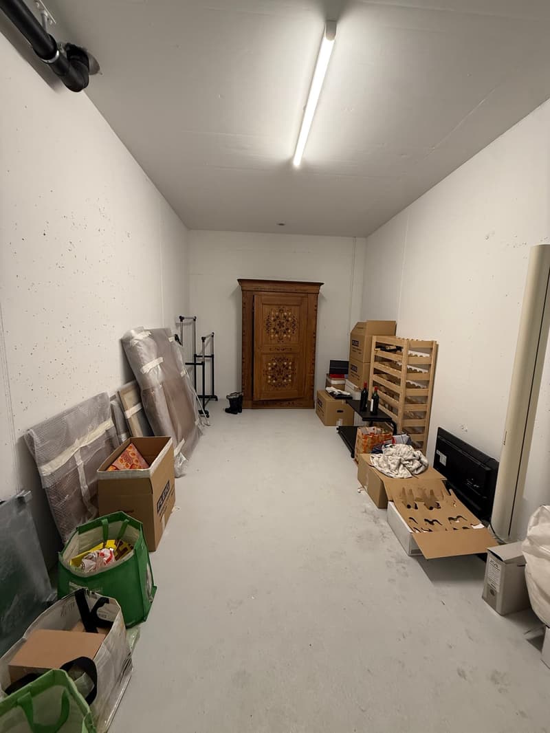 Moderne 4.5-Zimmer-Wohnung in Reinach BL (26)