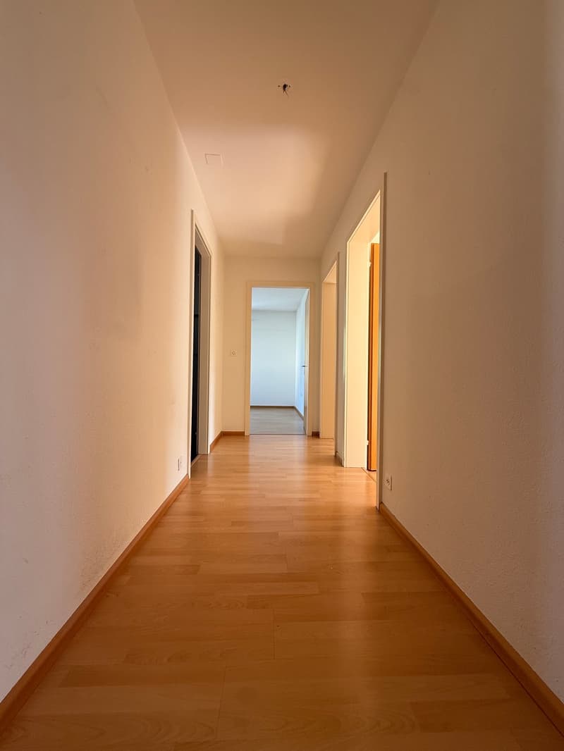 Helle 4-Zimmer-Wohnung mit Balkon in Pratteln (15)