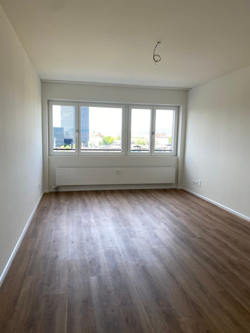 Schöne, 1-Zimmerwohnung in der nähe vom Bahnhof SBB (3)
