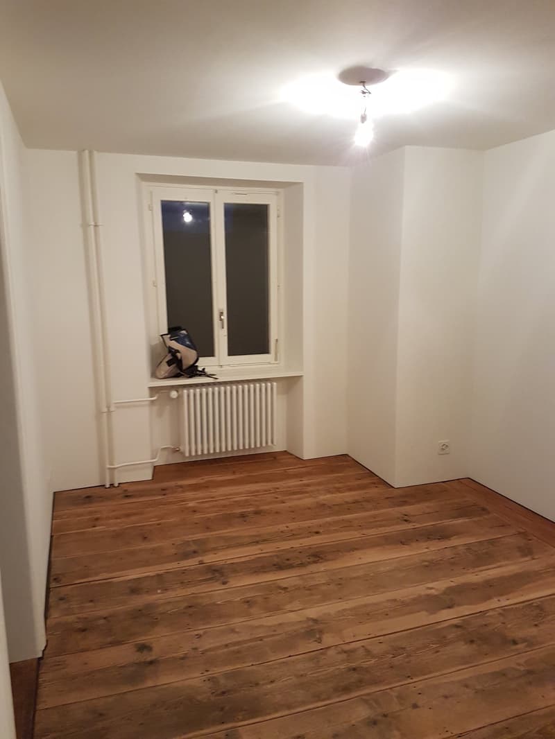 Schöne, moderne Altbauwohnung mit altem, aufgefrischtem Langriehmen-Holzboden im Dorfkern (7)