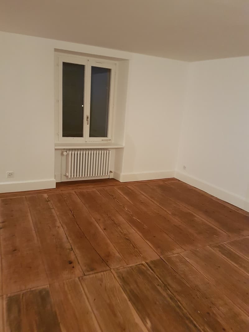 Schöne, moderne Altbauwohnung mit altem, aufgefrischtem Langriehmen-Holzboden im Dorfkern (6)