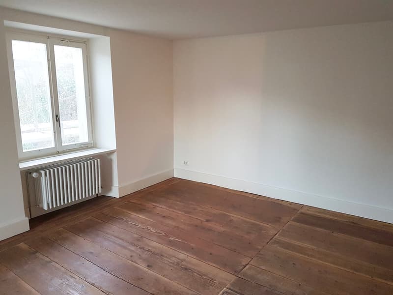 Schöne, moderne Altbauwohnung mit altem, aufgefrischtem Langriehmen-Holzboden im Dorfkern (9)