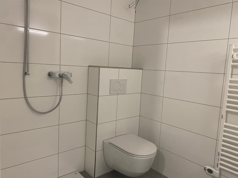 Schöne 3-Zimmerwohnung mit Gartensitzplatz zu vermieten (4)