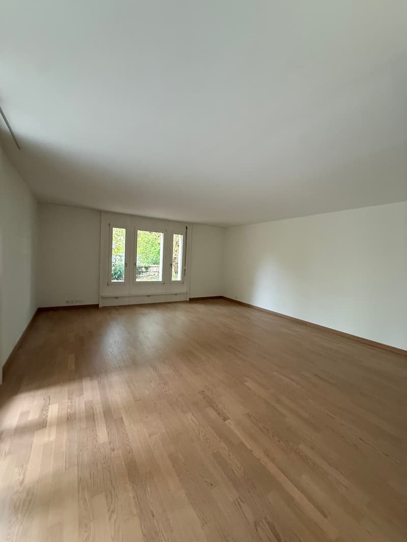Charmante 4.5-Zimmer-Wohnung im Erdgeschoss in Arlesheim (9)