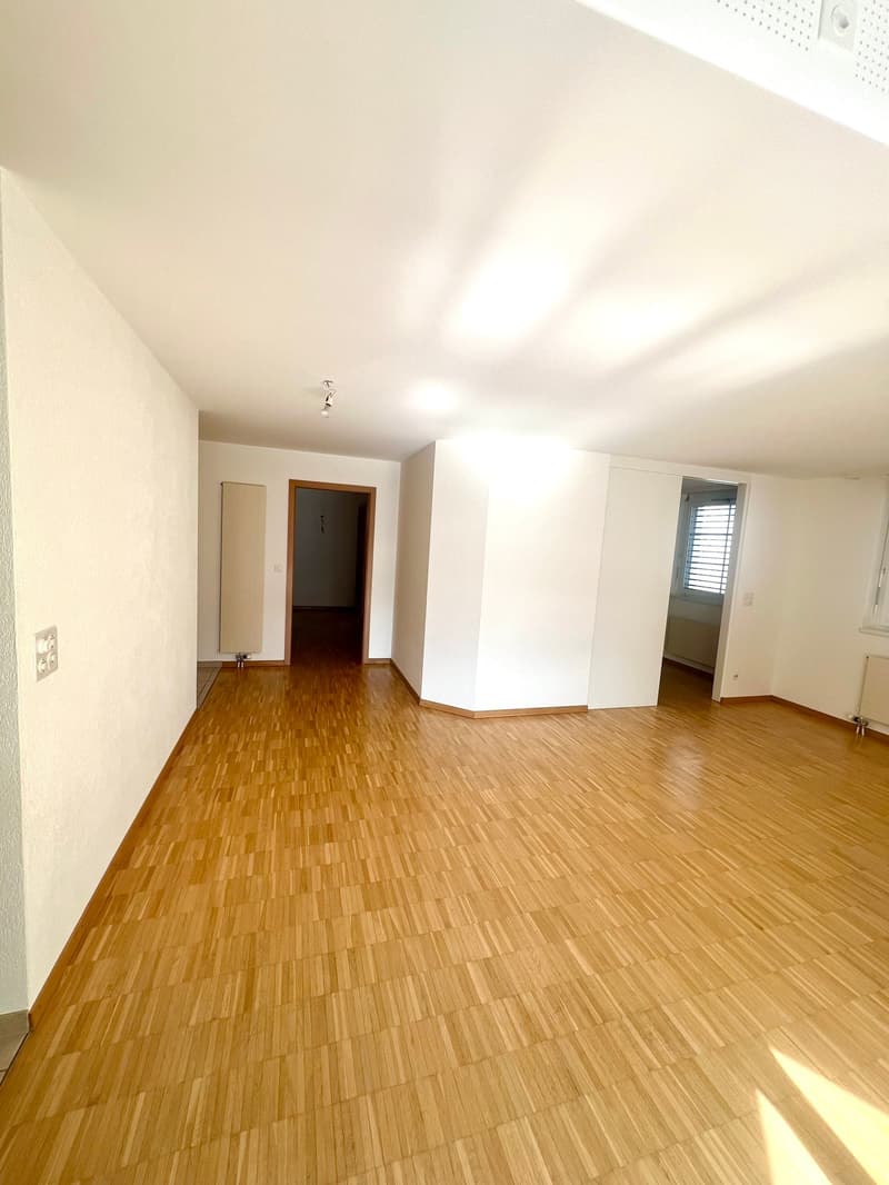 Grosszügige 4.5 Zimmerwohnung an ruhiger Lage und toller Aussicht (3)