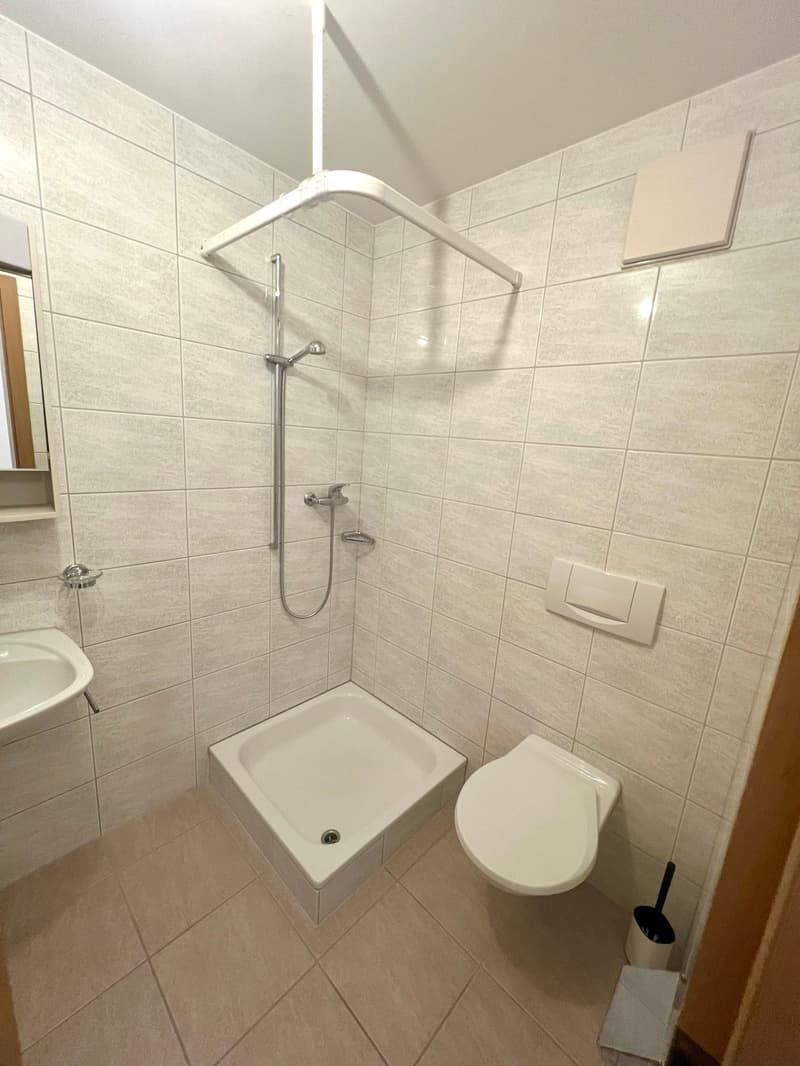 Grosszügige 4.5 Zimmerwohnung an ruhiger Lage und toller Aussicht (24)