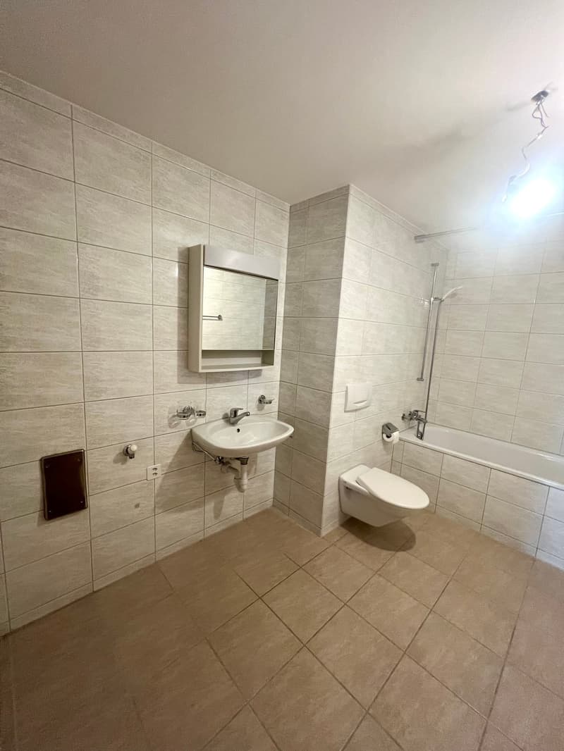 Grosszügige 4.5 Zimmerwohnung an ruhiger Lage und toller Aussicht (13)