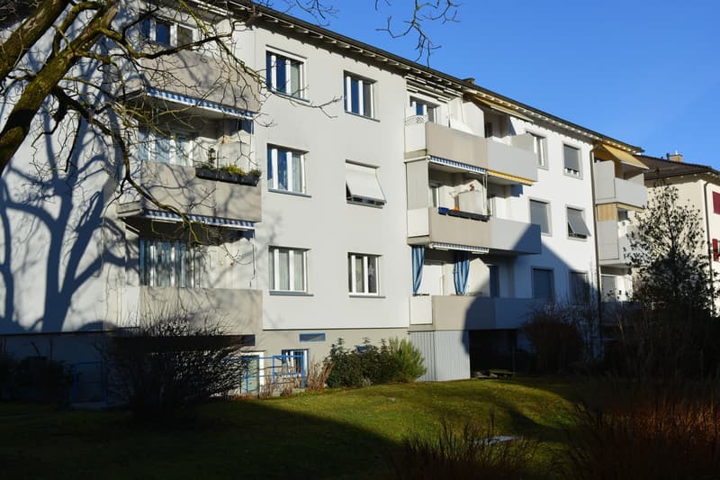 Appartamento di 3 camere in vendita a Birsfelden (2)