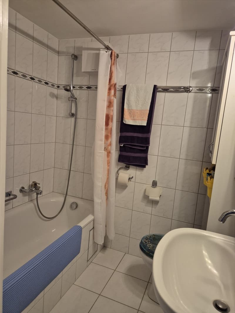 Appartamento di 3 camere in vendita a Birsfelden (4)