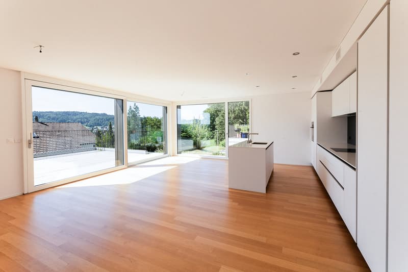 Modernes 5.5-Zimmer-Einfamilienhaus mit Weitsicht und Minergie-P-Standard in Walterswil (4)