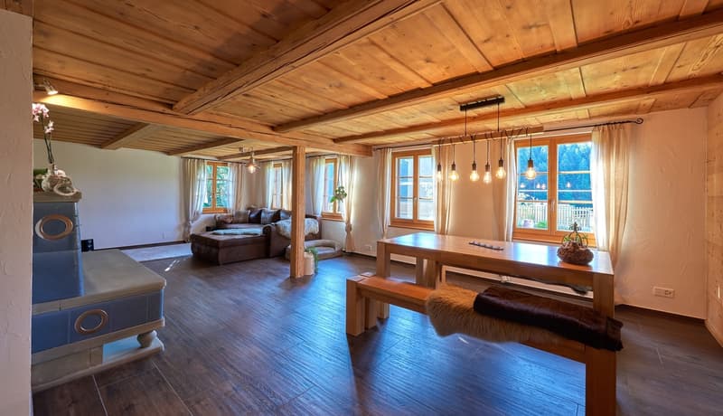 Renoviertes Bauernhaus mit 3599 m2 Grundstückfläche (3)