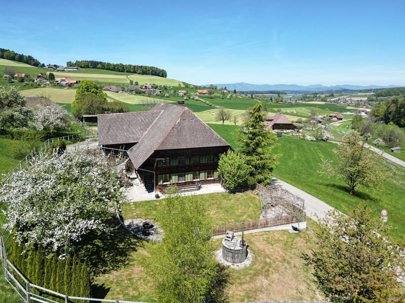 Renoviertes Bauernhaus mit 3599 m2 Grundstückfläche (5)