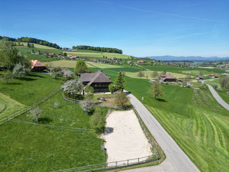 Renoviertes Bauernhaus mit 3599 m2 Grundstückfläche (6)