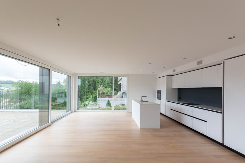 Modernes 5.5-Zimmer-Einfamilienhaus mit Weitsicht und Minergie-P-Standard in Walterswil (3)