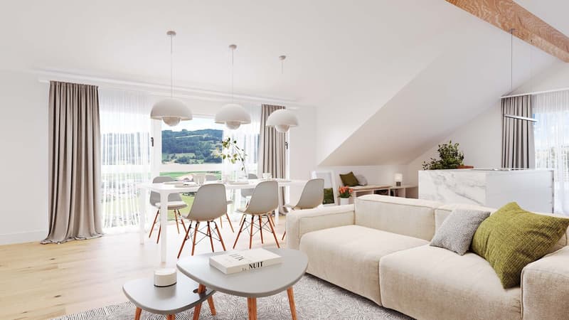 5.5- Zimmer Maisonette Wohnung mit Galerie und Süd - Dachterrasse (5)