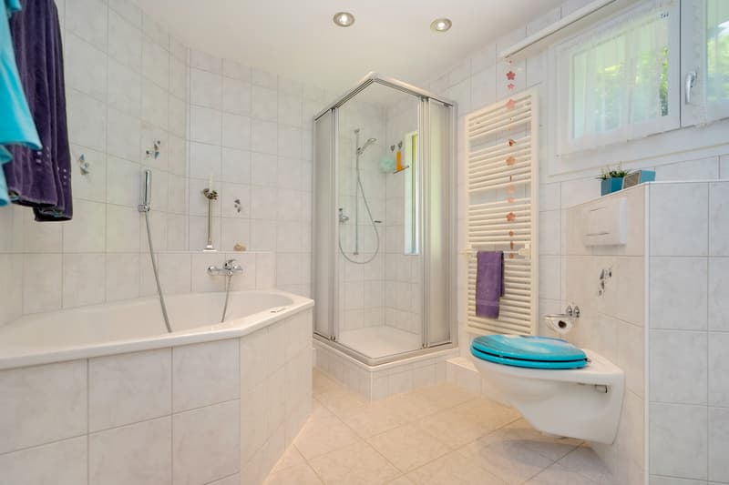 Hauptbad im OG mit Badewanne, Dusche, Lavabo und Toilette
