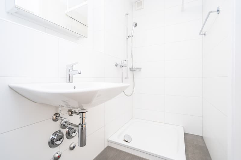 Nasszelle mit Dusche, Lavabo und Toilette