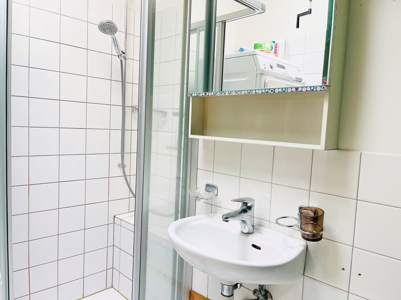 Badezimmer mit Dusche und Waschturm rechte Wohnung / Salle de bains avec douche et meuble-lavabo / Bathroom with shower and sink unit / Bagno con doccia e lavabo a colonna