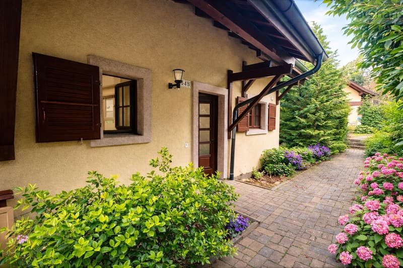 Hauseingang  / Entrée de la maison / House entrance / Ingresso della casa