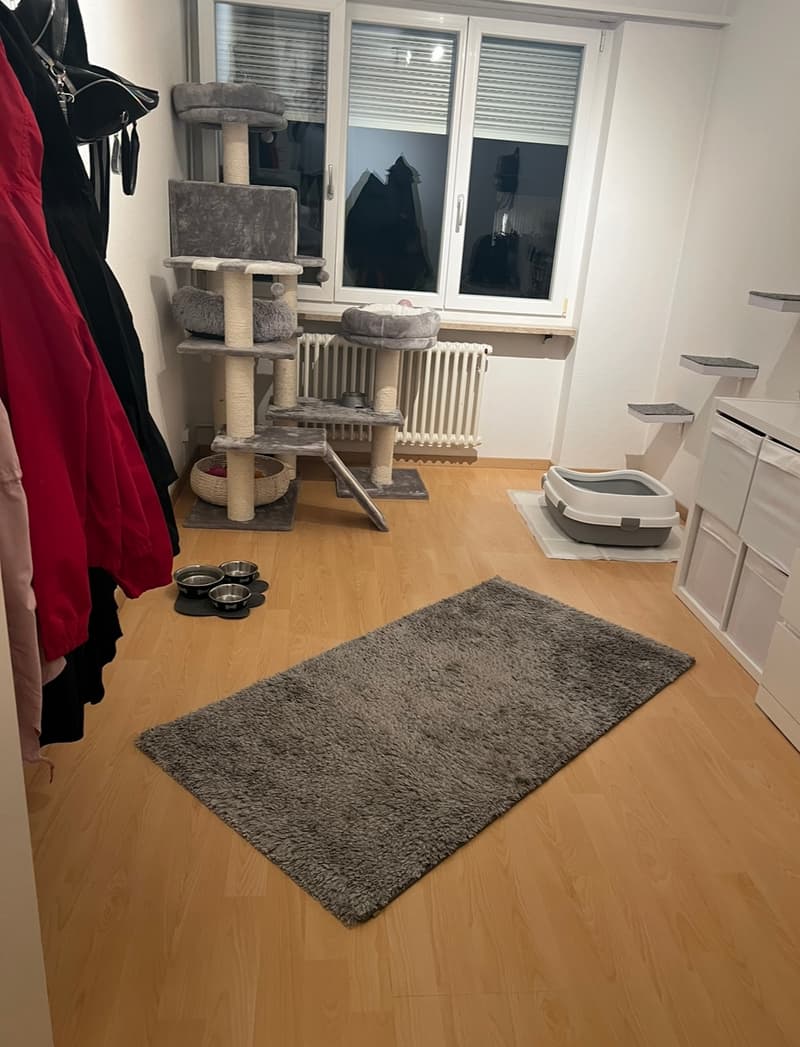 Zimmer 1
