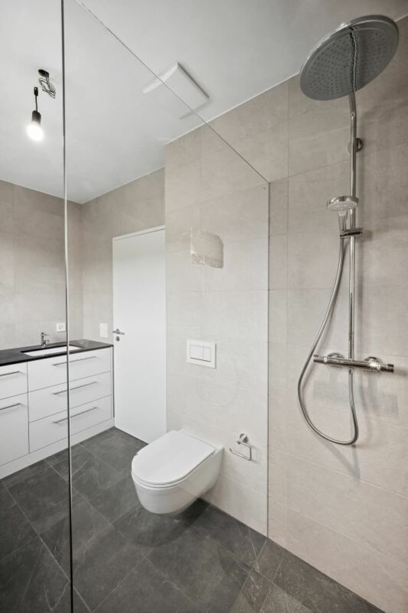 Neubau: 5 1/2-Zimmer-Maisonette-Gartenwohnung an bevorzugter Lage in Arlesheim (13)