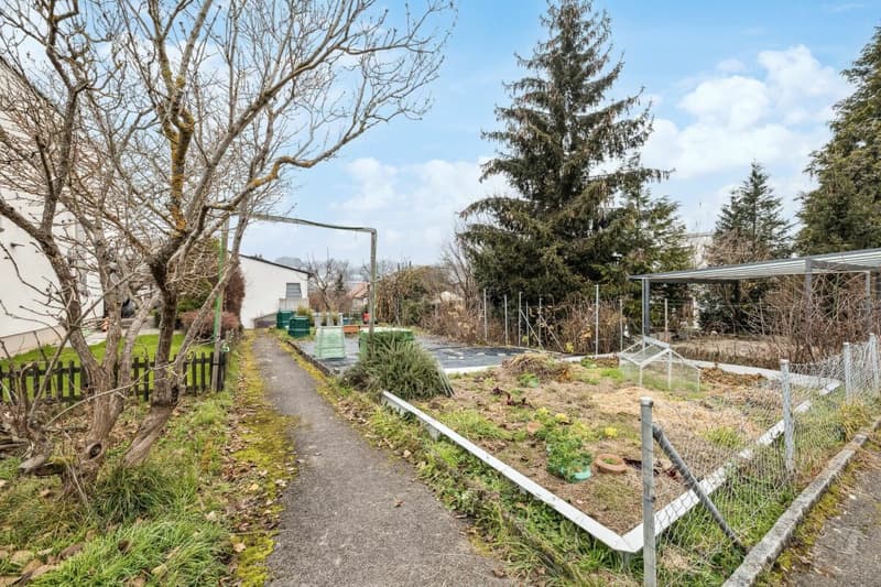 Charmantes 4 1/2-Zimmer-Reihen-Einfamilienhaus mit Hobbyraum, Gemüsegarten und Garage (12)